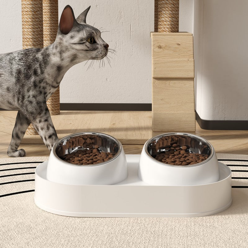 elevated double bowl cat feeder