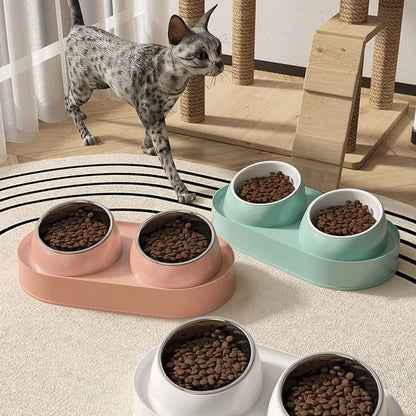 elevated double bowl cat feeder