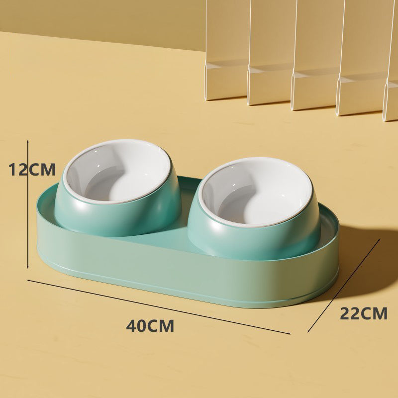 elevated double bowl cat feeder