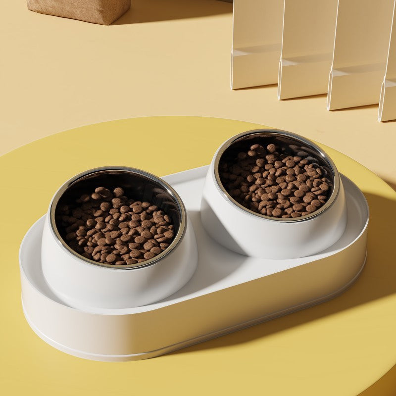 elevated double bowl cat feeder