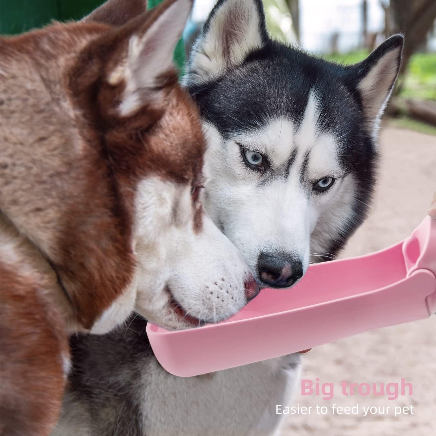 portable dog water bottle